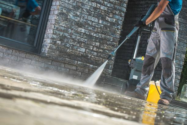 Best Paint Preparation  in Pontiac, IL